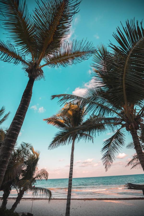 Breezy Beachfront Bali-Style Haven 180 Degree Oceanview Hau'ula Dış mekan fotoğraf